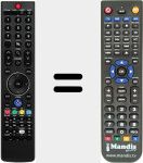 Replacement remote control for Triplex