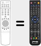 Mando a distancia sustituto de CONTROL 150 TV