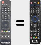 Replacement remote control for REMCON2199