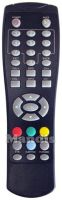 Original remote control I-CAN REMCON491