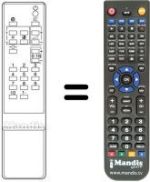 Replacement remote control CT-9321