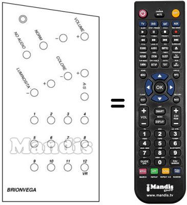 Replacement remote control 12 CHANNELS US