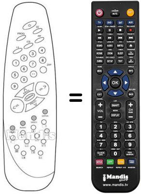 Replacement remote control Waltham CT 3799 B