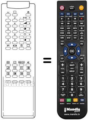 Replacement remote control RM 113