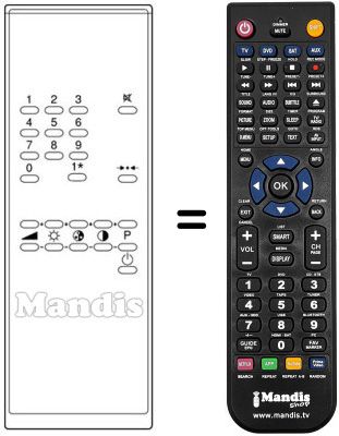 Mando a distancia equivalente TM 20 A