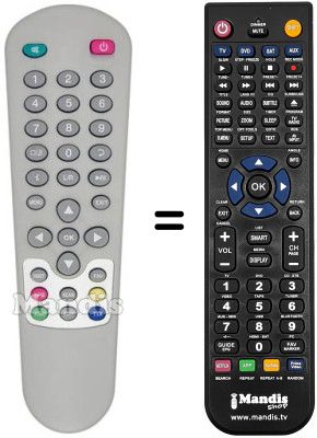 Comandament a distància equivalent Zodiac DZR 1000 FTA