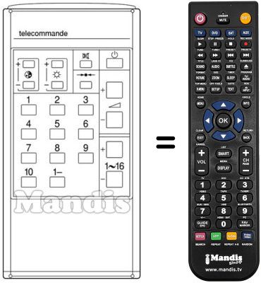 Replacement remote control CT-9231