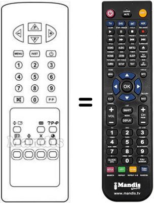 Mando a distancia equivalente RC2134